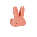 Bunny Room - Premium Package