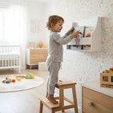 Wall Mounted Shelf Star