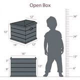 Open Box Ballerina - Pink